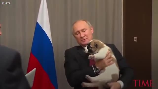 Here's The Awkward Moment When Vladimir Putin Got A Puppy As A Gift | TIME