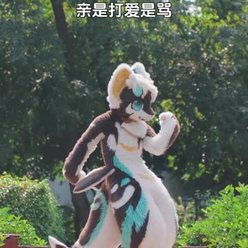 Furry Douyin #47