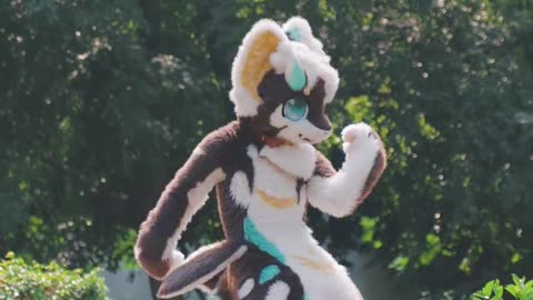 Furry Douyin #47