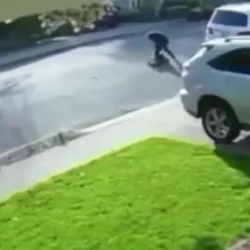 Carjacker gets bodyslammed… ‘Squeals like a pig’…