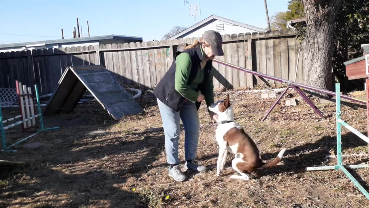 Playing Ball for Impulse Control