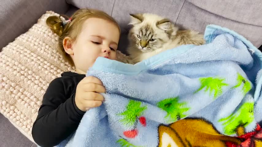 Cute_Baby_Trying_to_Put_the_Cat_to_Sleep