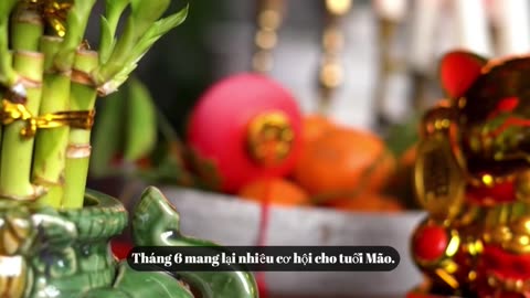 Tử vi tổng quan tháng 6 cho tuổi Mão.