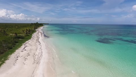 sea beach ocean