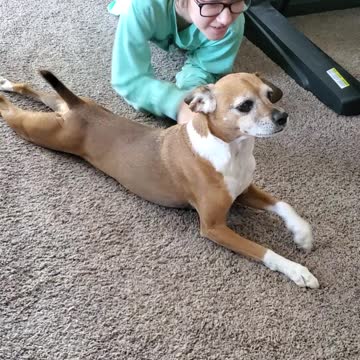 Adorable pup waits for girl to crawl with him