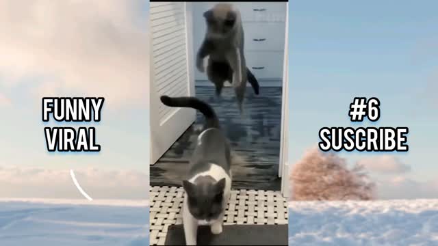 Viral funny video.