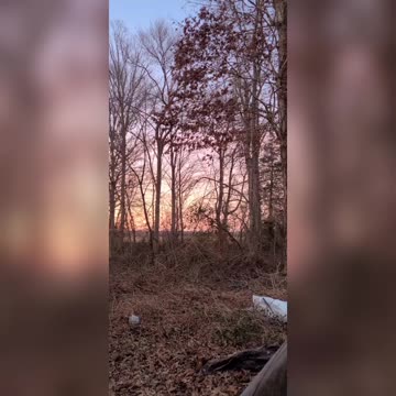 This Week's Moment In Nature