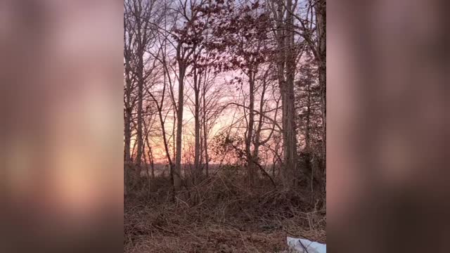 This Week's Moment In Nature