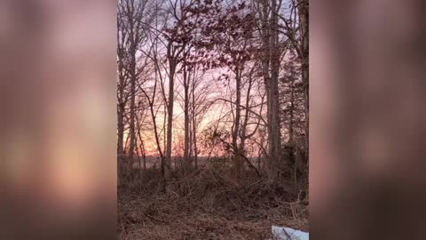This Week's Moment In Nature