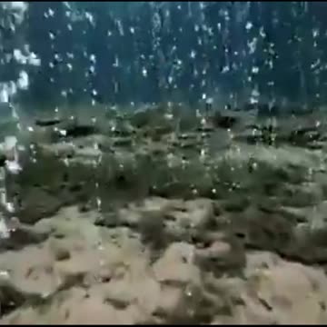 Nautral Springs of Central Florida