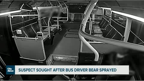 Suspect sought after bus driver bear sprayed in Vancouver