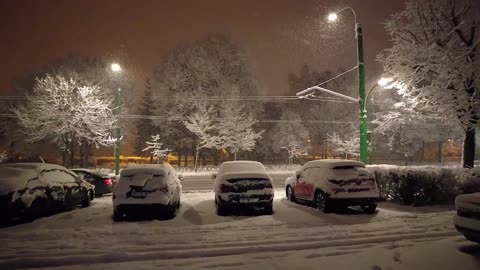 Watch the snow together