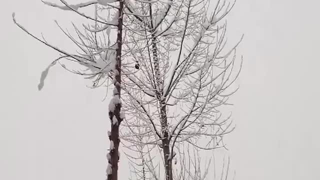 Cool nature