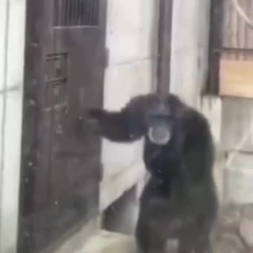 Funny animal moments to make ur love face smileee