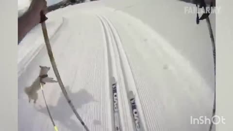 It's a funny, humorous and entertaining video that will make you feel good