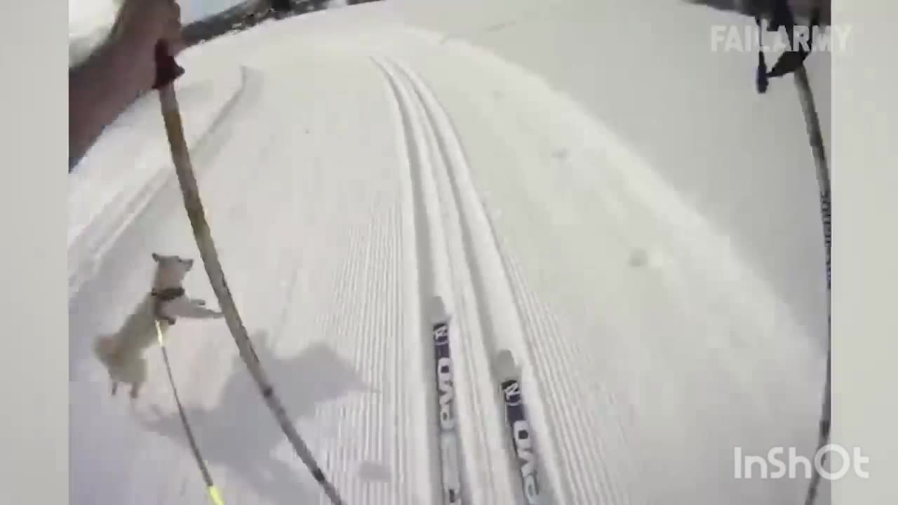 It's a funny, humorous and entertaining video that will make you feel good