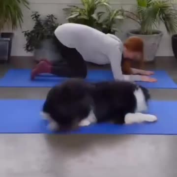 4-legged enlongation