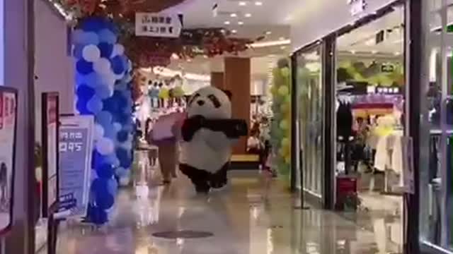 Funny panda 🐼 😂😂😂😂😂