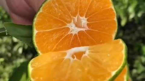 🗡🗡🗡🍊🍊🍊🍊🍊🍊