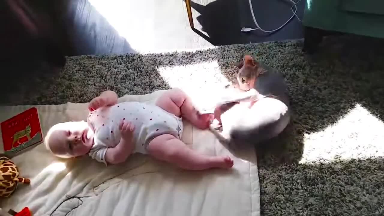 Baby VS Cat funny video_ part-6_(720HD).mp4