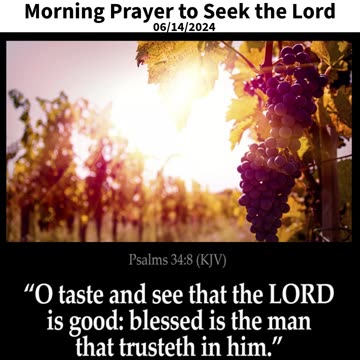 Morning Prayer to Seek the Lord #youtubeshorts #grace #jesus #mercy #faith #fyp #blessed #trust #joy