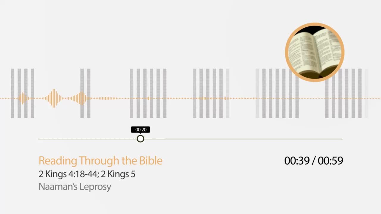 Reading Through the Bible - "Naaman's Leprosy"