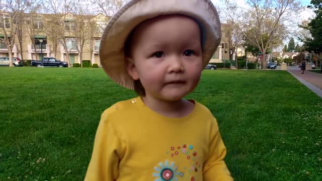 Conservative Toddler watch now