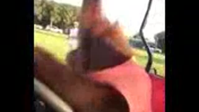 Tariq Al-Ali riding in the golf car with the chimpanzees driving