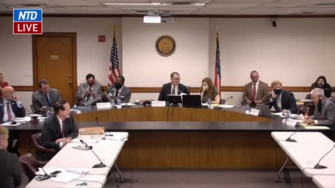 Susan Knox Testifies During Georgia Senate Hearing on Election Issues