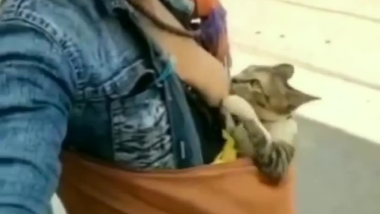 Women breast feeding to cat 🐱 🥺 see what happend next 😳
