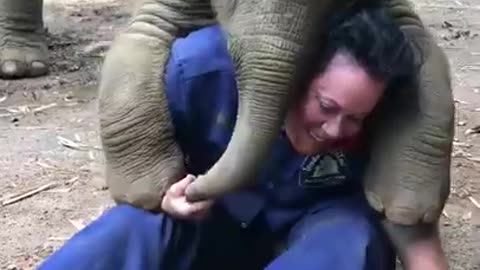 Baby Elephant 🐘 Playing With Master