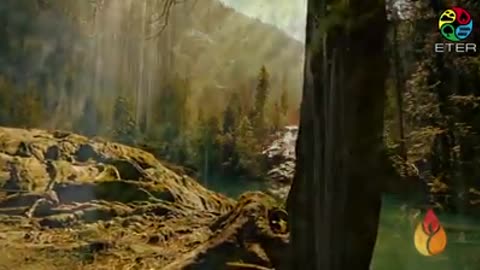 Documental imperdible, que vale la pena verlo completo y compartirlo, para despertar consciencias