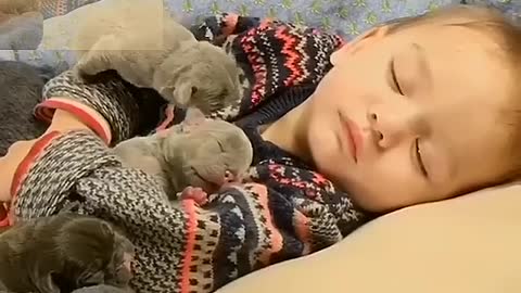 Dogs sleep with children