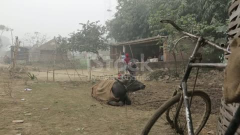 children playing