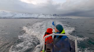Orcas Follow Ship Along Norwegian Arctic Coastline