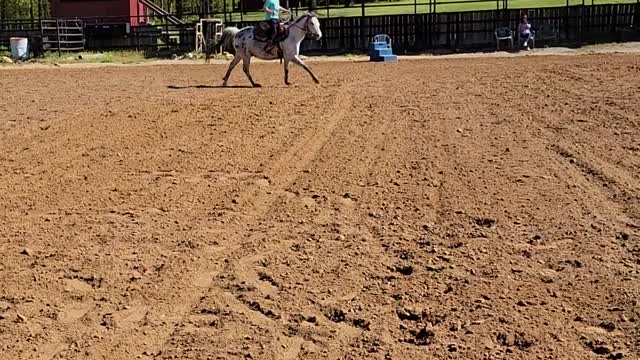 Harper galloping