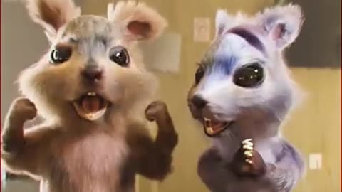 The Squirrels - We Will Rock You!😂 - Reloaded