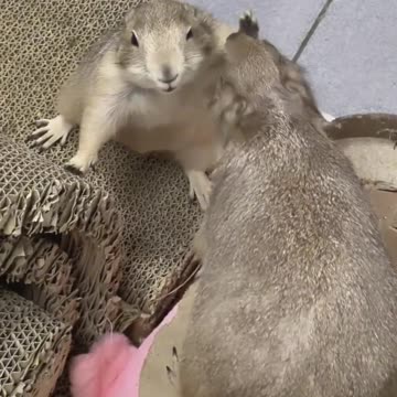 I was only kidding around, honest 😂🤣😂