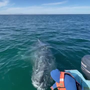 Wait for the rainbow