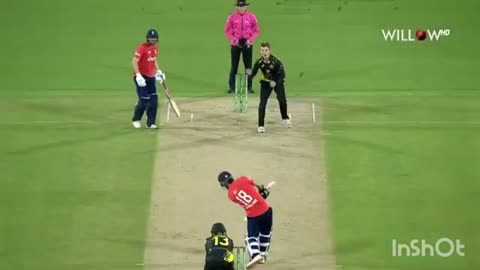 Australia vs England mohin Ali super beating