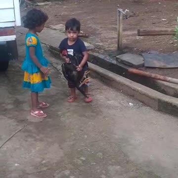 Love children kids are playing withe aseel rooster trick shots