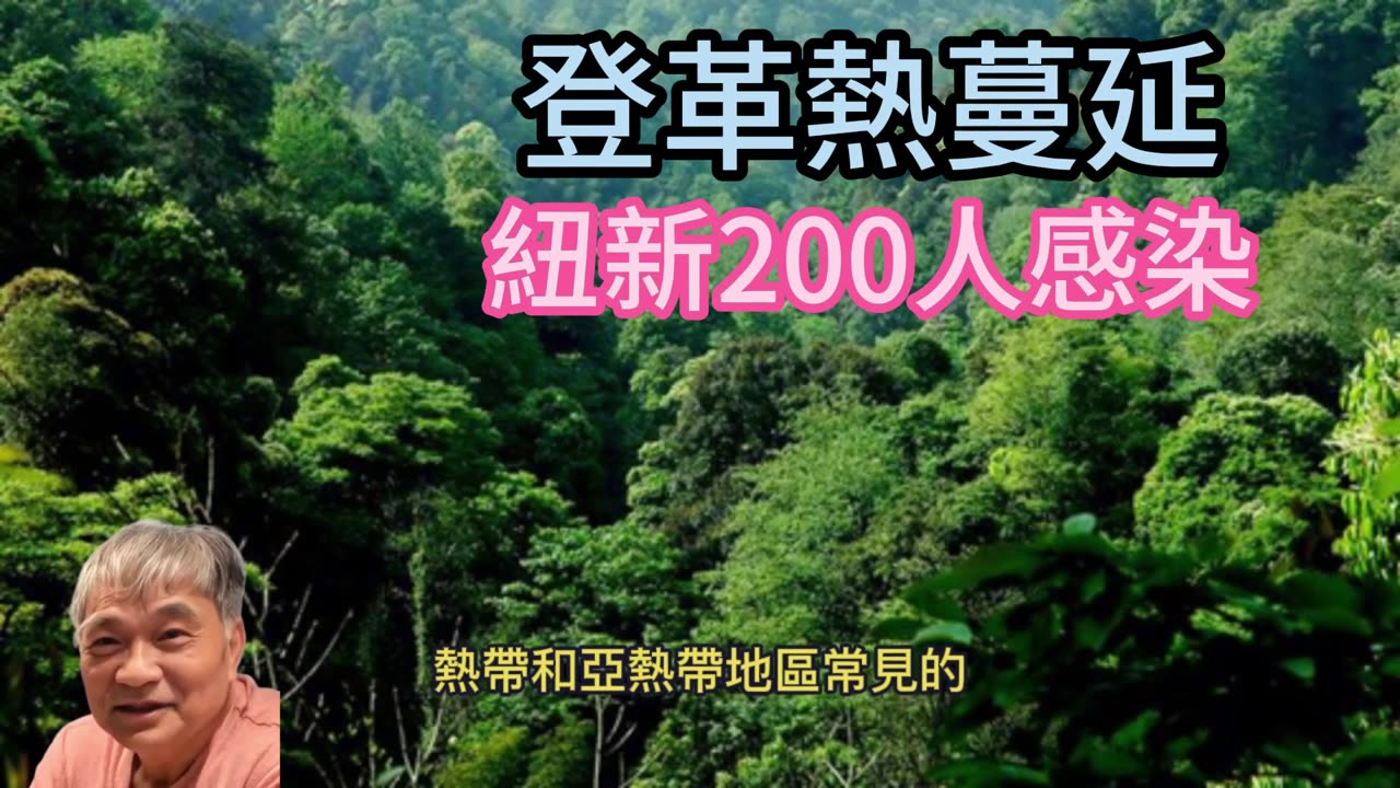 登革熱蔓延 紐新200人感染