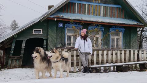 Woman Holding Husky Dogs