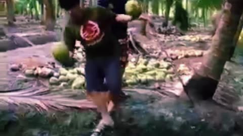 funny vidios #1