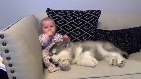 The Best Year Of Our Lives! Baby And Puppy Growing Up Together! (Cutest Ever!!) 3