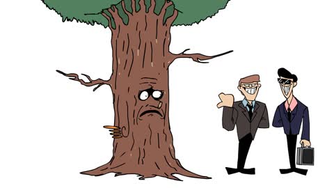 Mokey's Show - Mr. Tree(funny video)