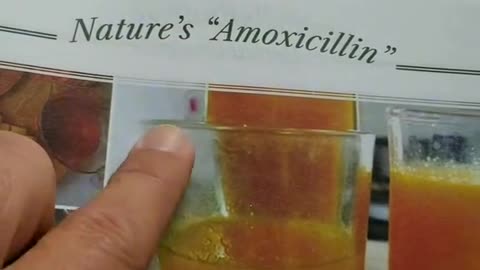 BUT..WHAT IS AMISH AMOXICILLIN?
