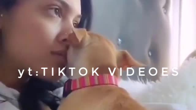 Funny Animal Videos 2022 😂 - Funniest Cats And Dogs Videos