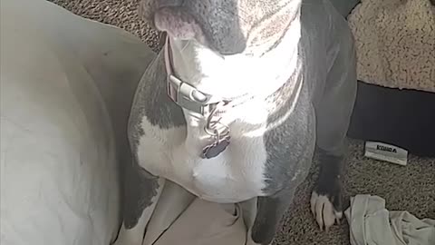 This is how she signals me that she needs to potty every morning