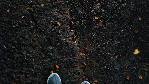 Lonely in the woods